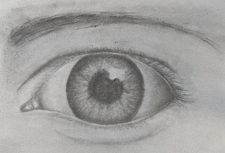 Photo: Human Eye (Pencil). Drawn by Andrea Morgan.