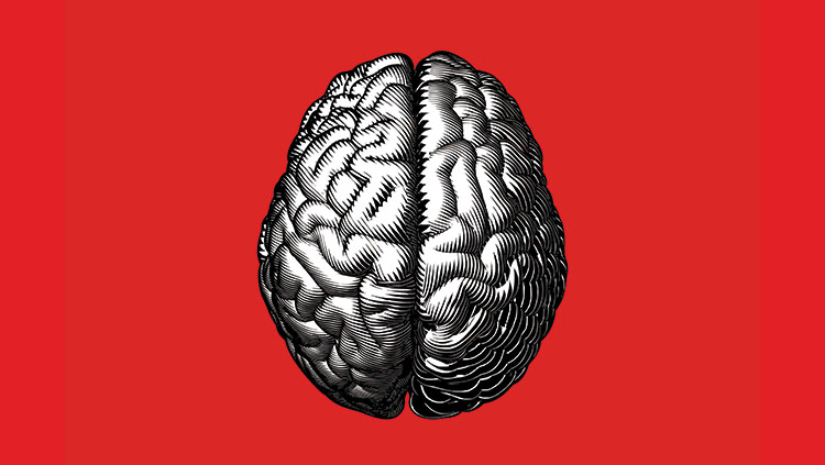 gray image of a brain on a red background.