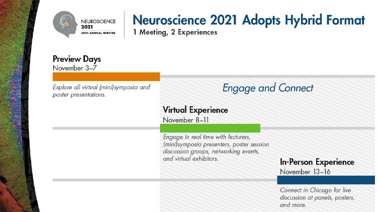 Image of the dates for Neuroscience 2021 hybrid and in-person meeting.