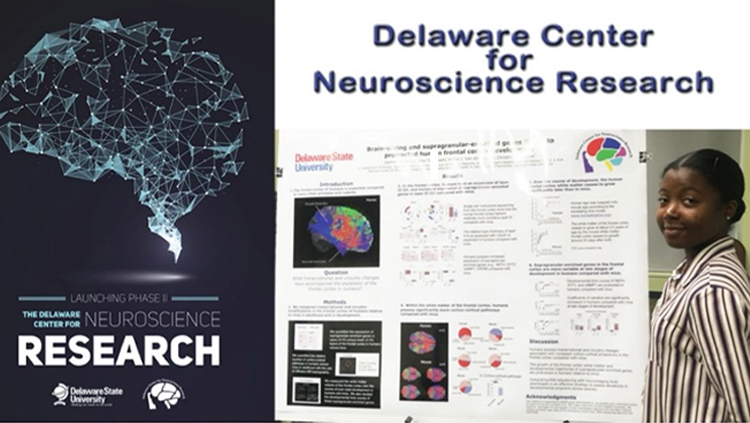 A woman standing next to her poster presentation at Delaware State University center for neuroscience research.