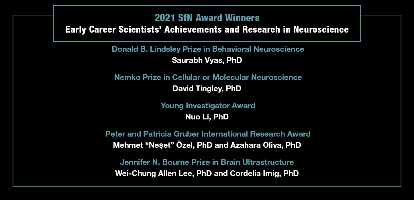 2021 SfN Award Winners: Early Career Scientists' Achievements and Research in Neuroscience. Donald B. Lindsley Prize in Behavioral Neuroscience - Saurabh Vyas, PhD. Nemko Prize in Cellular or Molecular  Neuroscience - David Tingley, PhD. Young Investigator Award - Nuo Li, PhD. Peter and Patricia Gruber International Research Award: Azahara Oliva and Mehmet Neset Ozel. Jennifer N. Bourne Prize in Brain Ultrastructure: Cordelia Imig and Wei-Chung Lee.