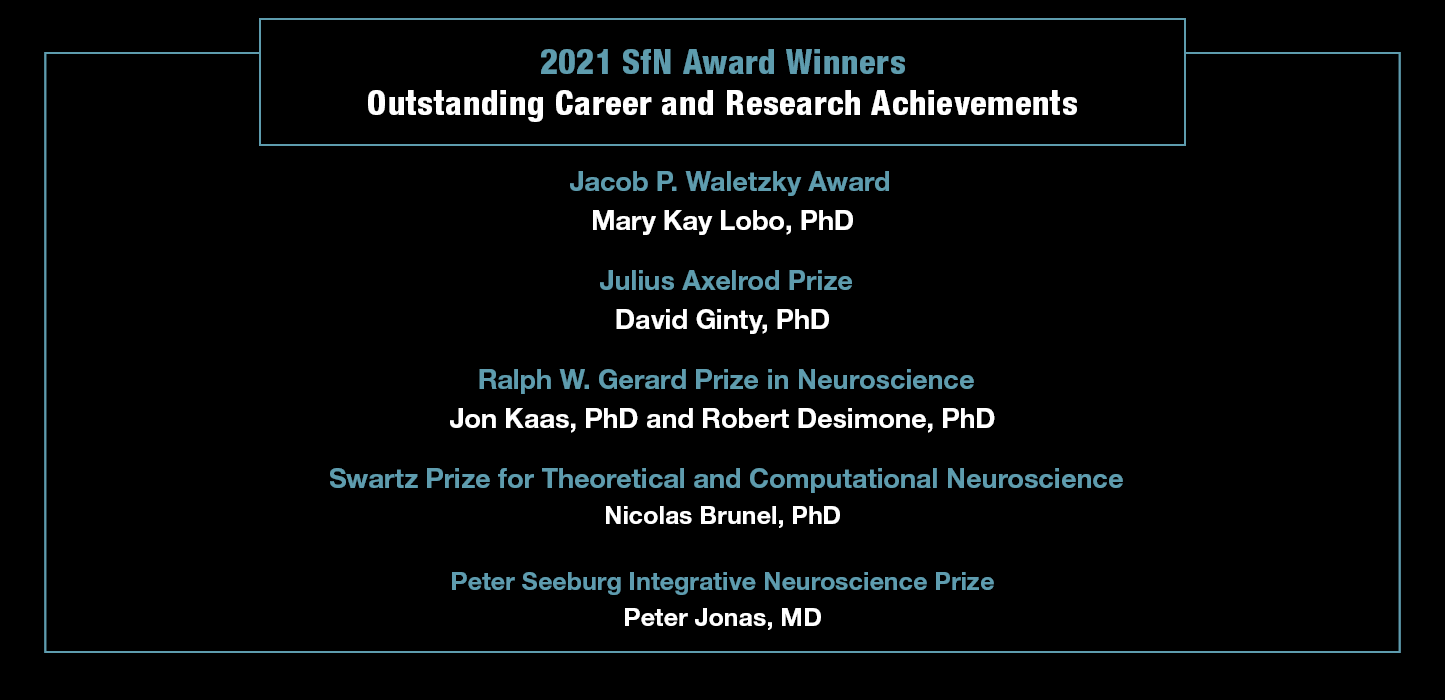 2021 SfN Award Winners for Outstanding Career and Research Achievements. Jacob P. Waletzky Award: Mary Kay Lobo. Julius Axelrod Prize: David Ginty. Ralph W. Gerard Prize in Neuroscience: Robert Desimone and Jon Kaas. Swartz Prize for Theoretical and Computational Neuroscience: Nicolas Brunel. Peter Seeburg Integrative Neuroscience Prize: Peter Jonas.