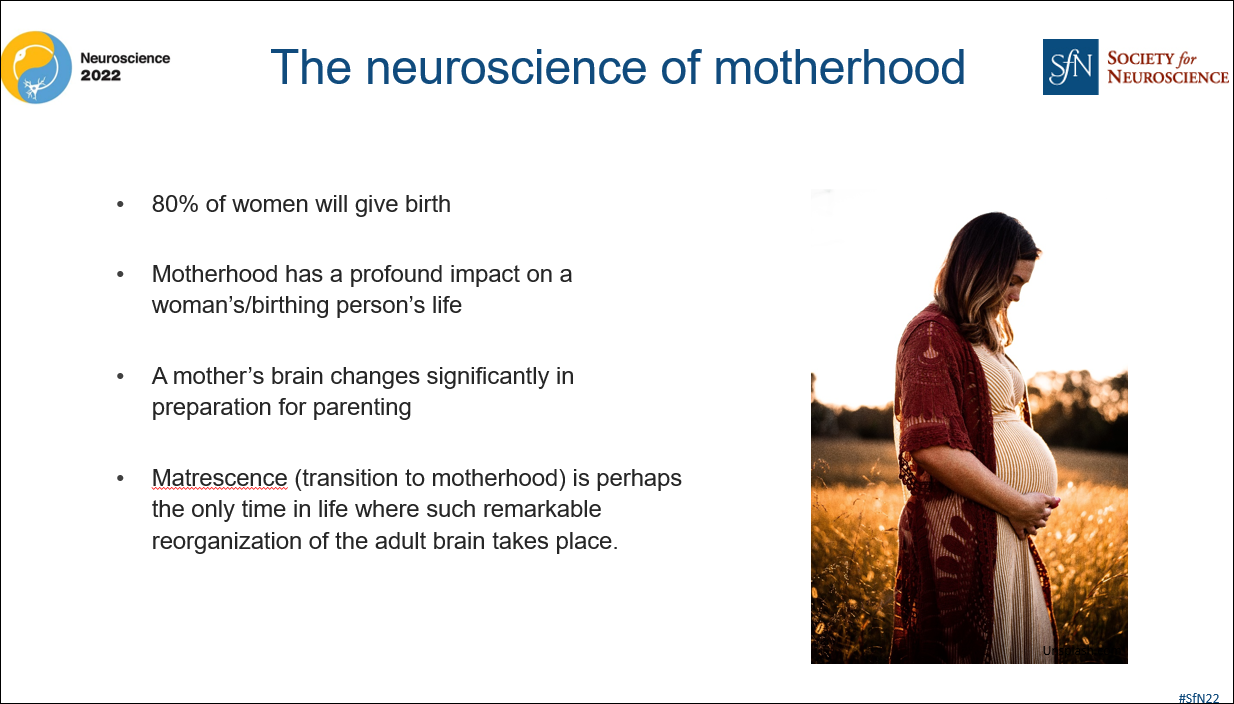 the neuroscience of motherhood