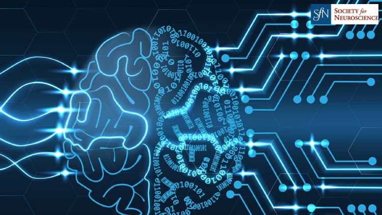 Inside Neuroscience: AI Models Map the Brain