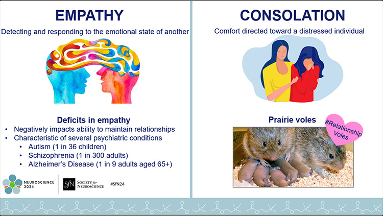 Inside Neuroscience thumbnail