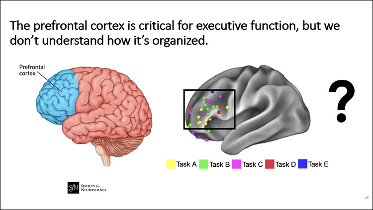 inside-neuroscience-thumbnail
