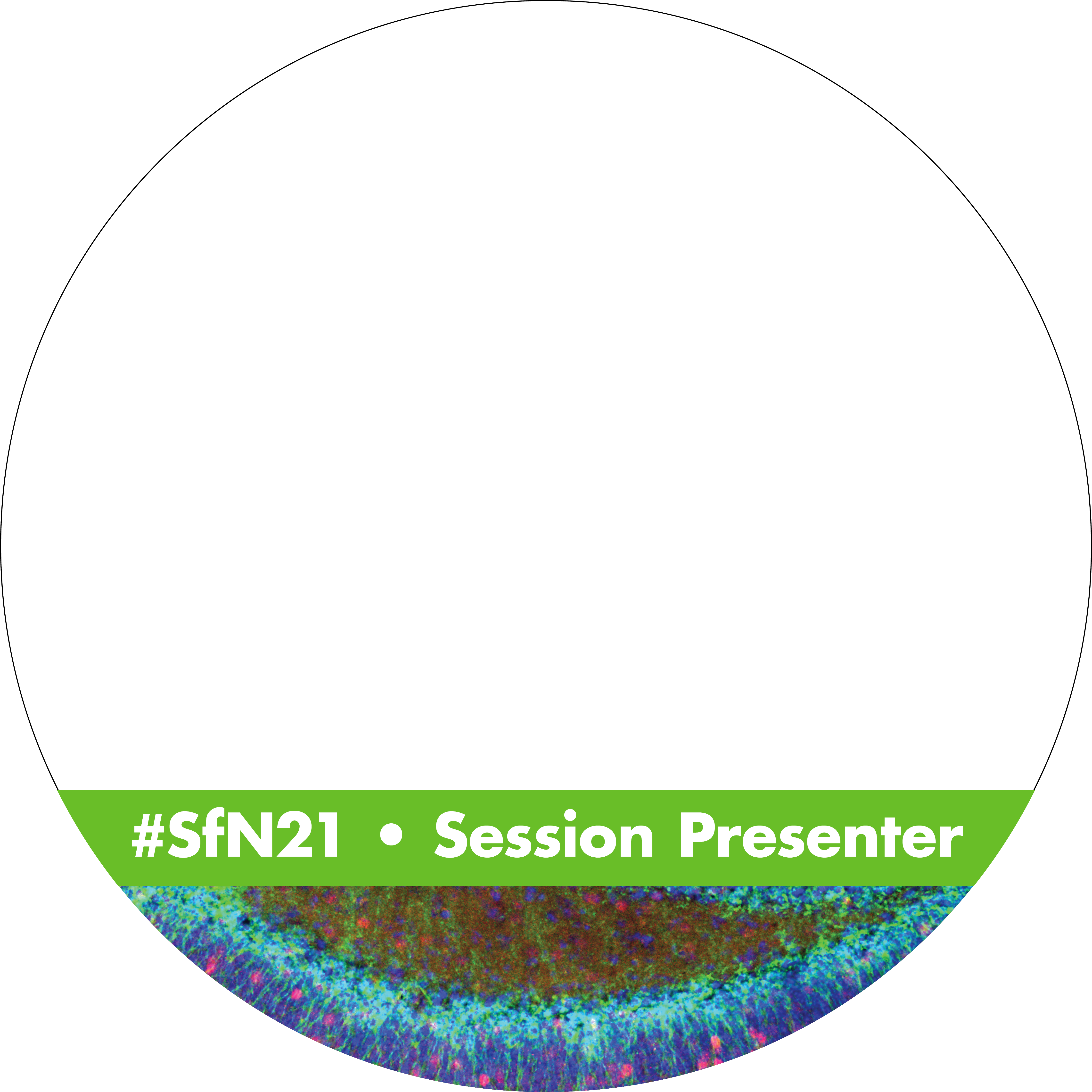 Neuroscience 2021 Profile Cover Image for Session Presenters