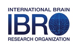 Logo of the International Brain Research Organization.